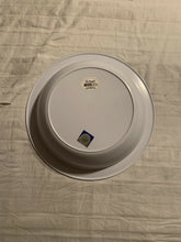 Load image into Gallery viewer, Florida Gators NCAA Plastic Large Mixing/Salad Bowl Magnolia Lane - Casey's Sports Store