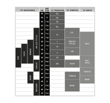 Load image into Gallery viewer, San Francisco 49ers NFL '47 Brand Red One Size Fits All Stretch Fit Mesh Hat - Casey's Sports Store