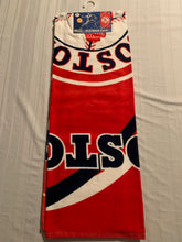 Load image into Gallery viewer, Boston Red Sox MLB 30" x 60" Beach Towel McArthur - Casey's Sports Store