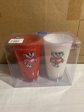 Load image into Gallery viewer, Wisconsin Badgers NCAA Set of 2 20oz Plastic Tumbler Cup Duck House - Casey's Sports Store