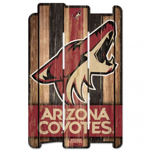 Arizona Coyotes NHL 17
