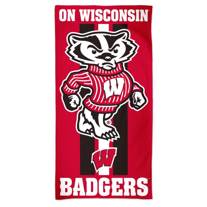 Wisconsin Badgers NCAA 30