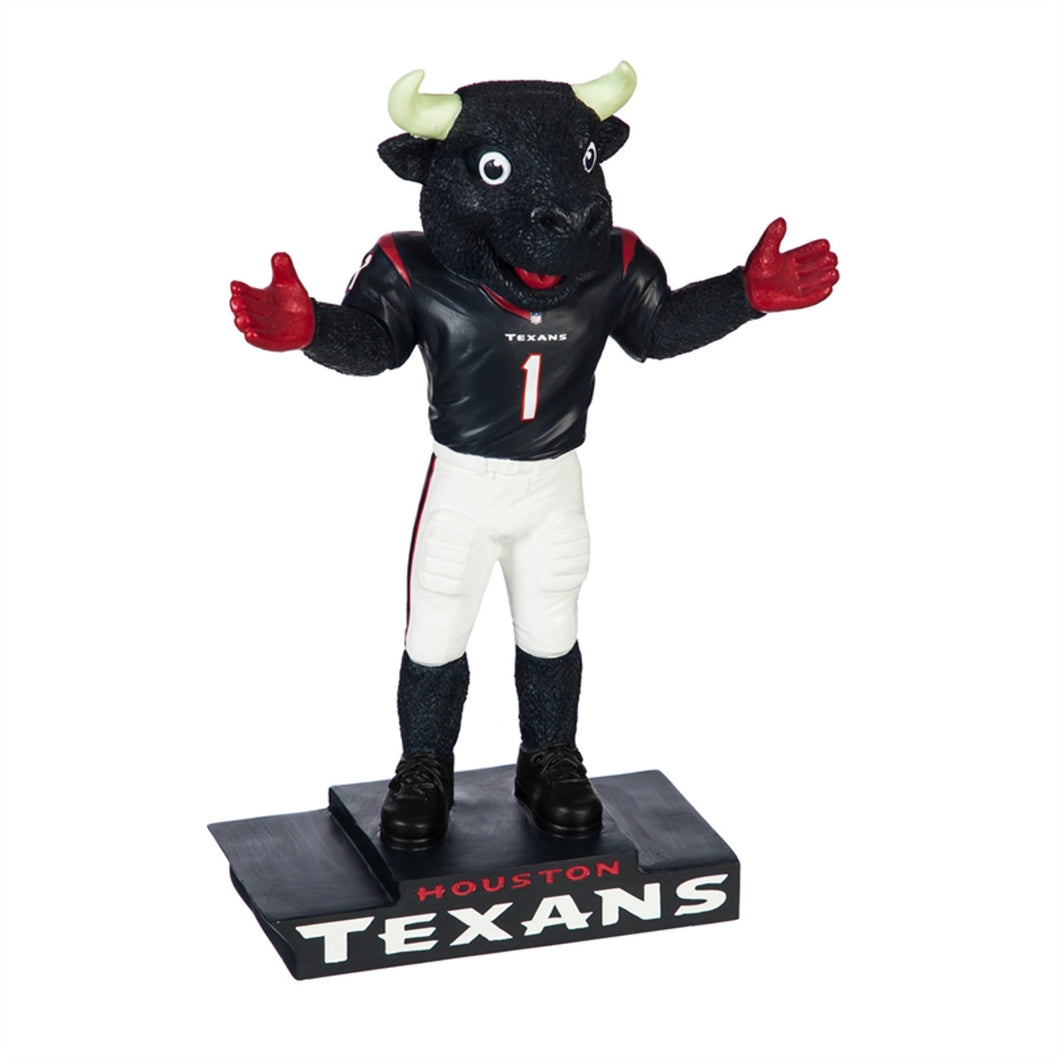 Houston Texans NFL 12