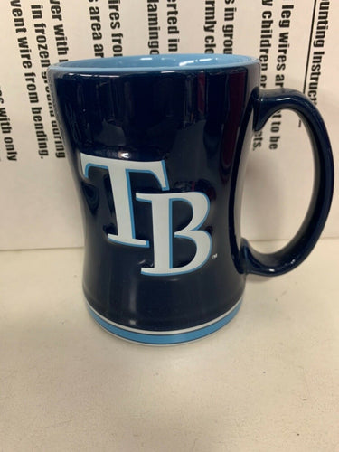 Tampa Bay Rays MLB Boelter Brands 14oz Mug Cup - Casey's Sports Store