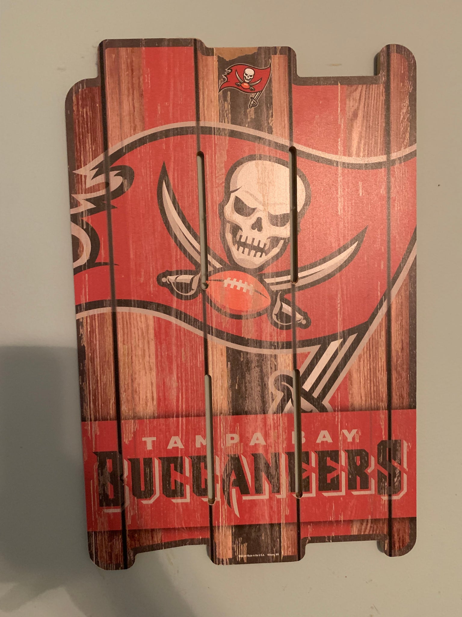 Tampa Bay Buccaneers x Tampa Bay Lightning x Tampa Bay Rays Art By