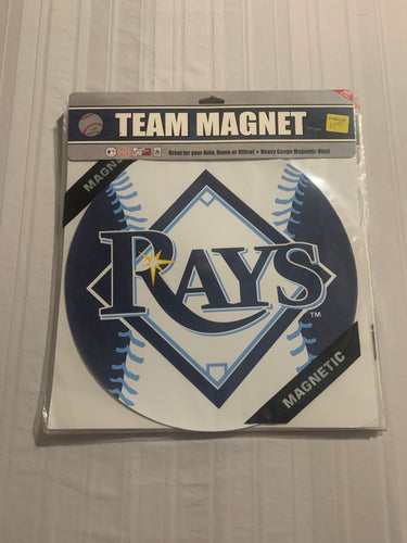 Tampa Bay Rays MLB Car Magnet 12