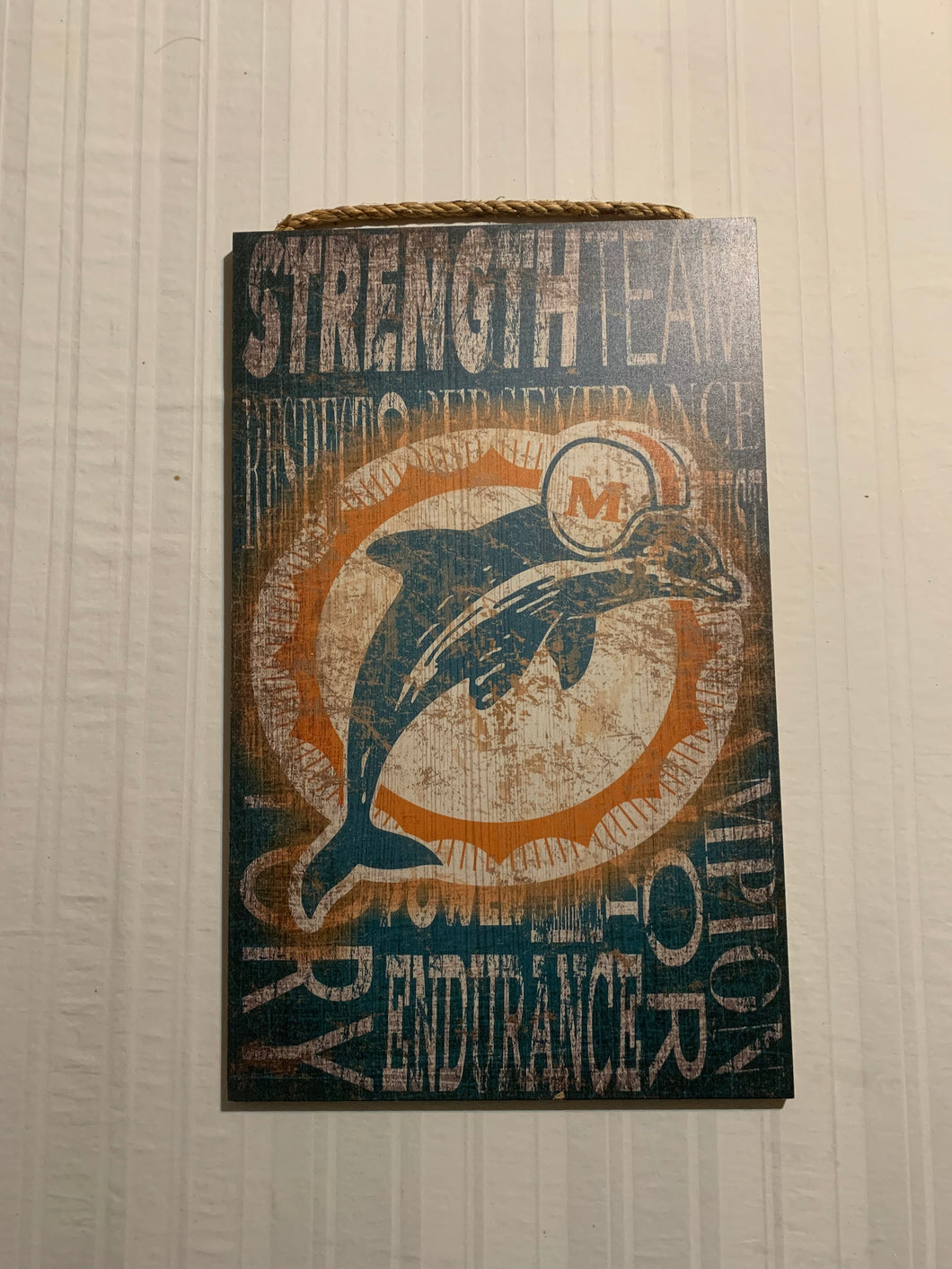 Miami Dolphins NFL 19